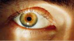Photo of large hazel eye