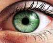 Photo of a woman's green eye