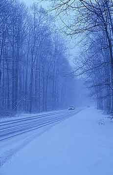 Photo of ice blue snowy country road with arch of trees