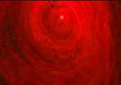 Image of red swirling blood