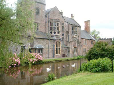 Photo of Swans in Moat of Bishops Palace, Wells Cathedral